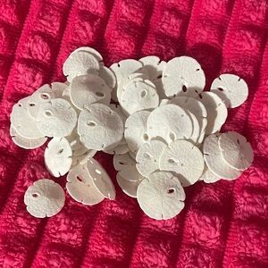 White Sand Dollar Pieces